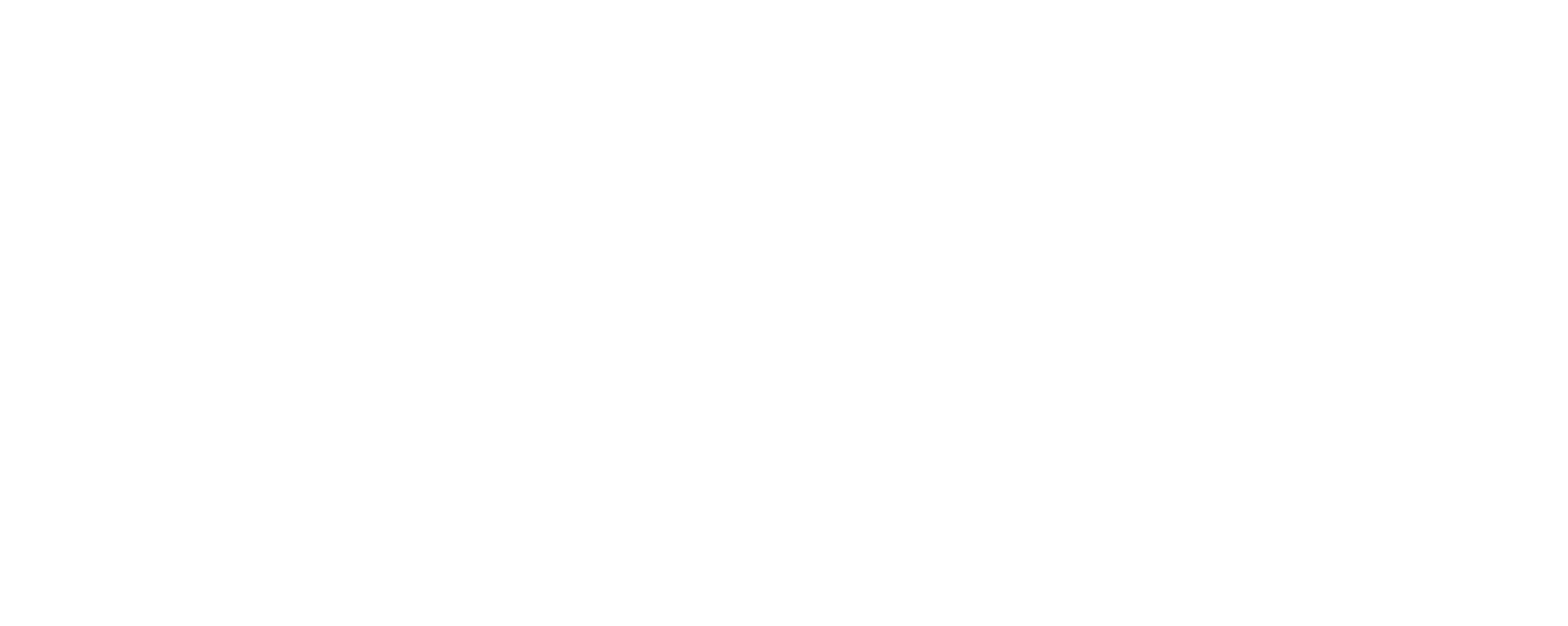 Taxfly